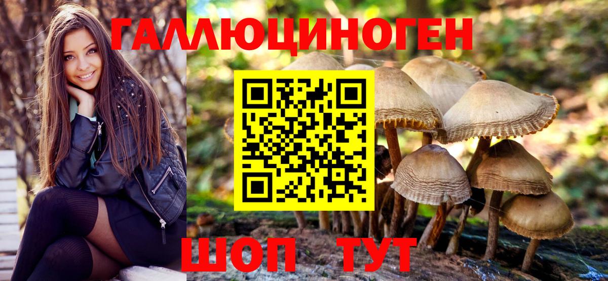 купить закладку  Вход с VPN  Глазов  Псилоцибиновые грибы ЛСД 